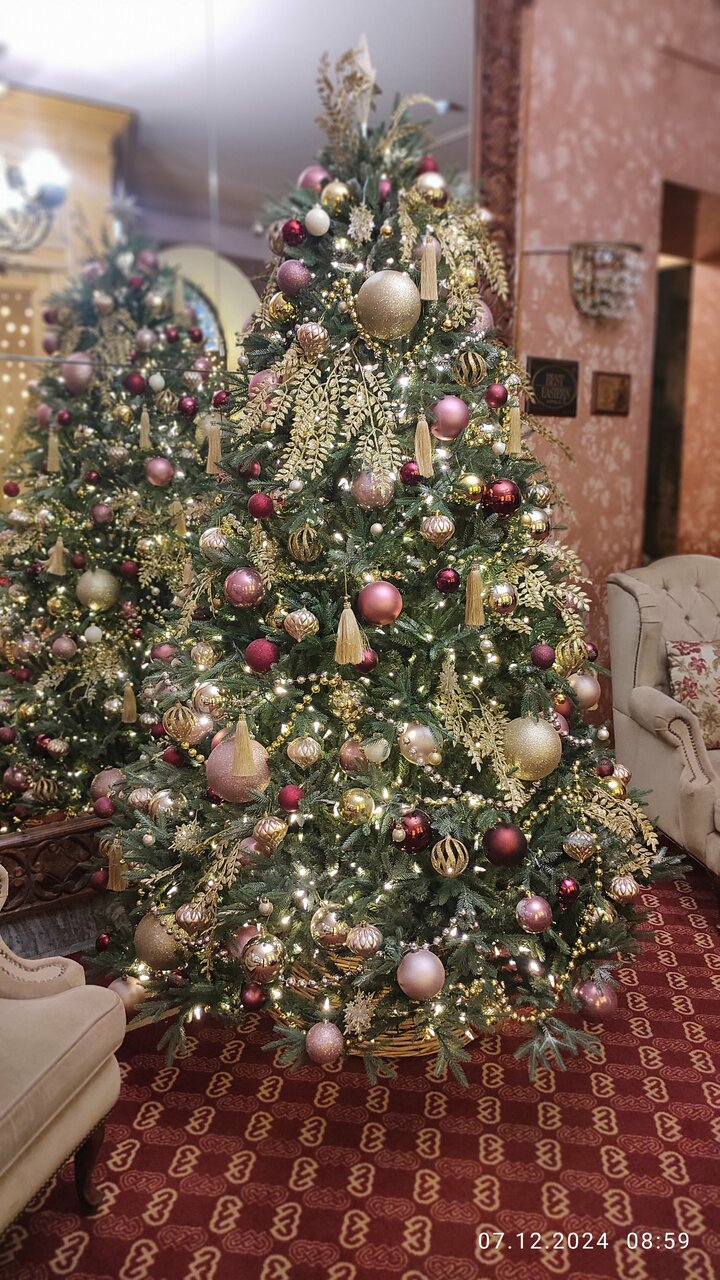 Гостиница Будапешт Москва-163