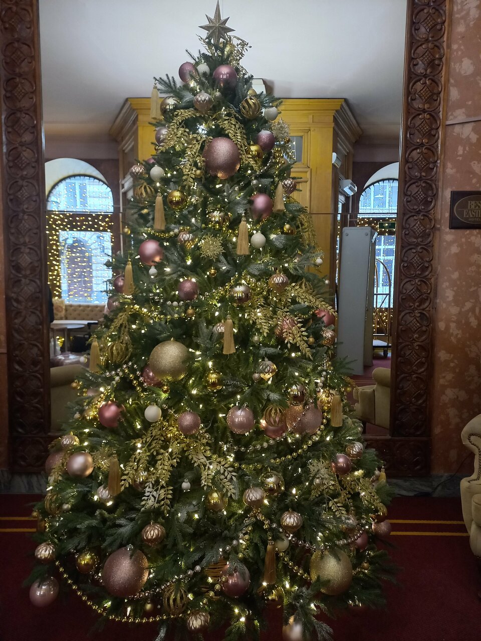 Гостиница Будапешт Москва-14