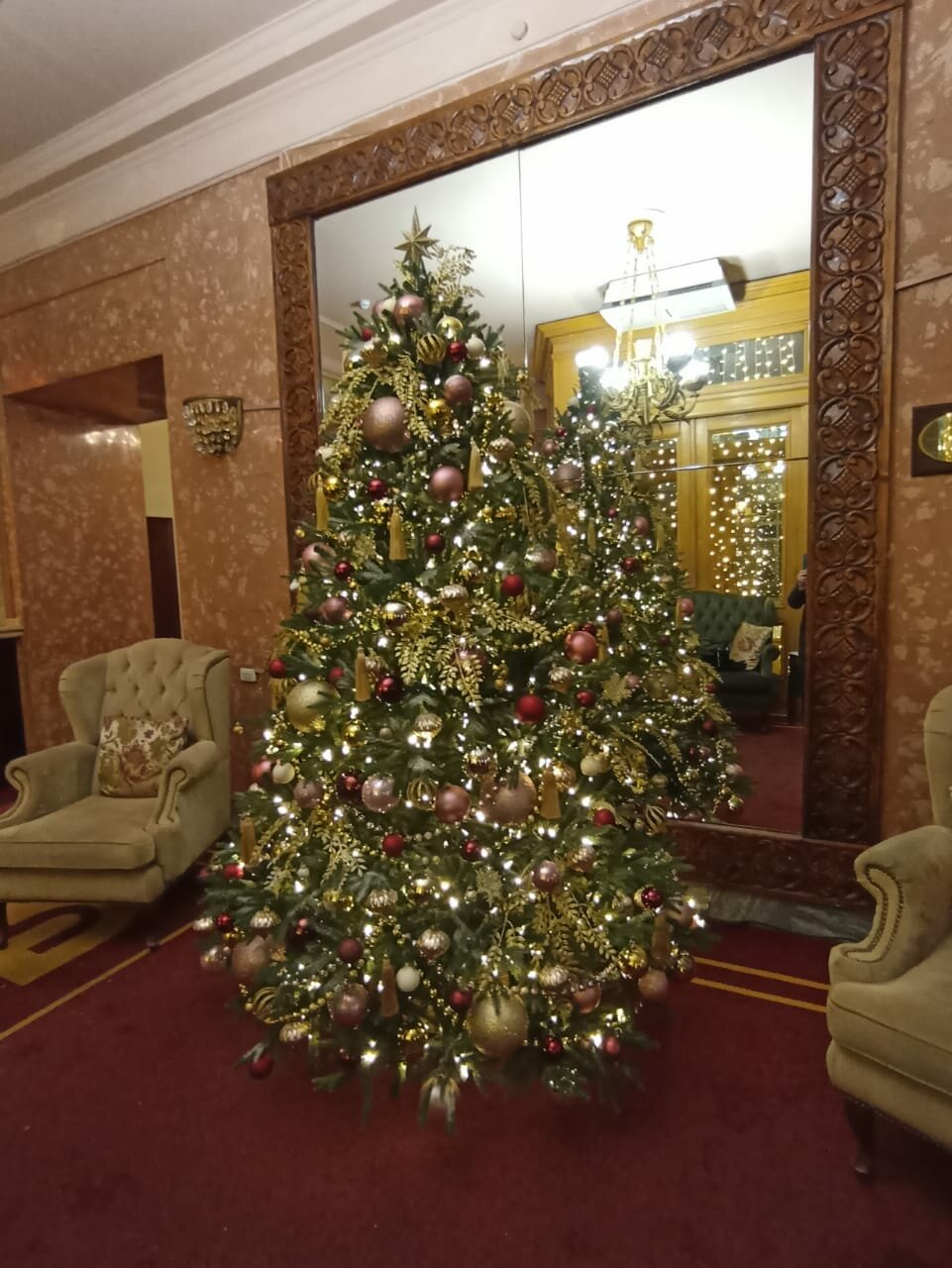 Гостиница Будапешт Москва-229