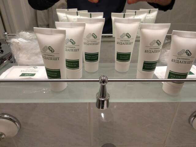 Гостиница Будапешт Москва-50